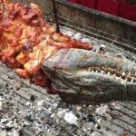 Why Crocodile Meat? Below are a few Reasons